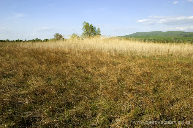 Opštinska uprava Petrovac na Mlavi Obronci Homoljskih planina